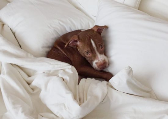 Recipe for the Best Sleep